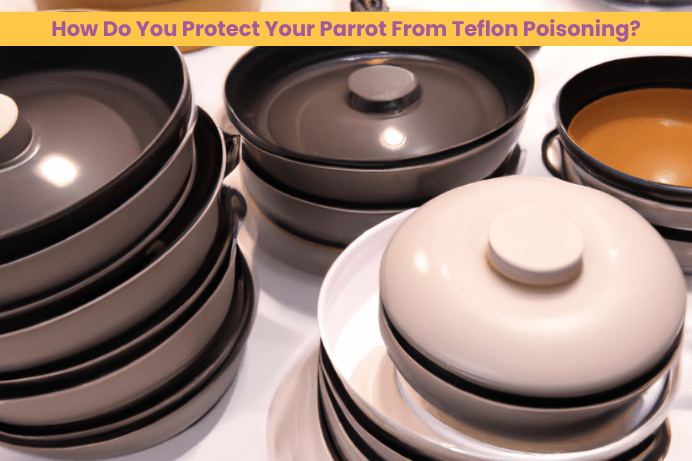 How Do You Protect Your Parrot From Teflon Poisoning
